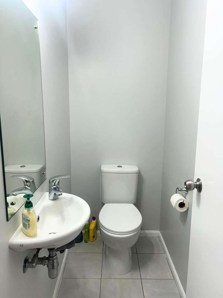 3 Savona Drive Flat Bush_8