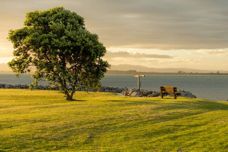 71a Matua Road Matua_33