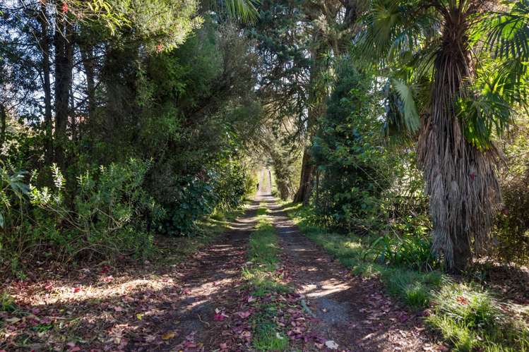 219 State Highway 2 Mangatawhiri_10