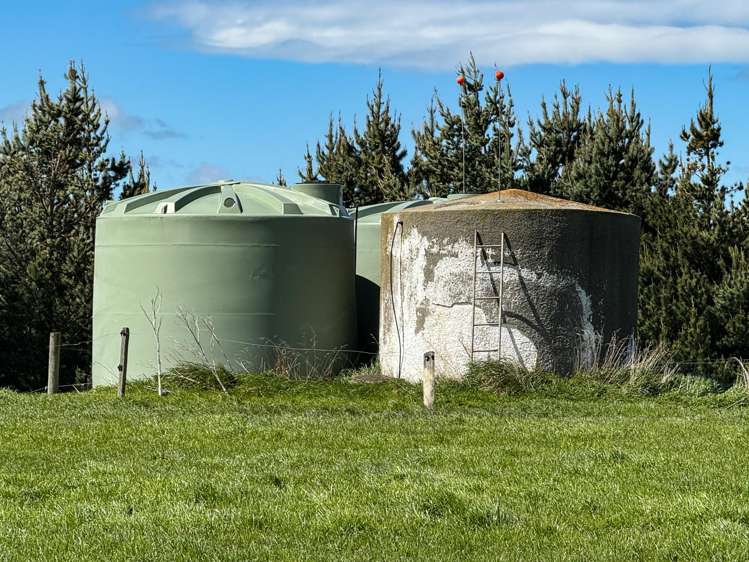 307 Okapua Road Chatton North_5