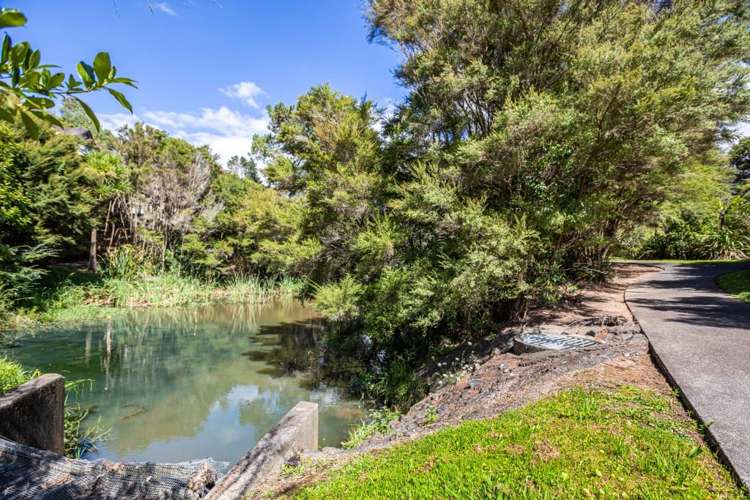 24 Langana Avenue Browns Bay_7