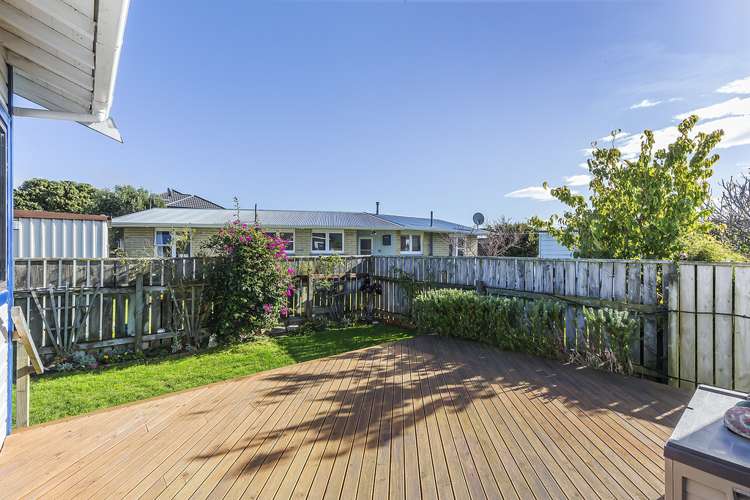 77a Ira Street Miramar_5