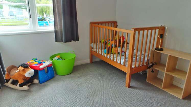 12 Guy Avenue Levin_10