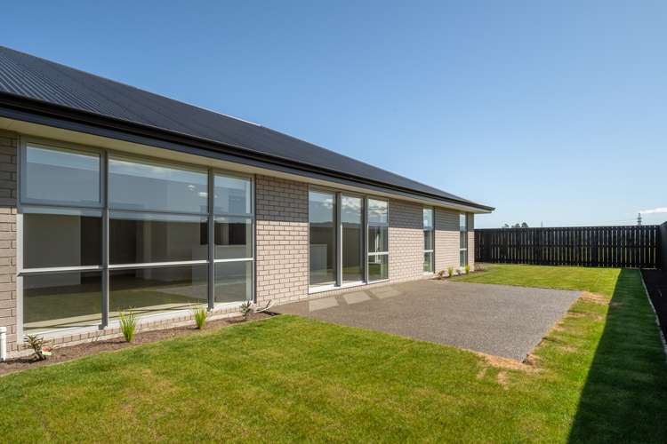 8 Bond Street Springlands_27