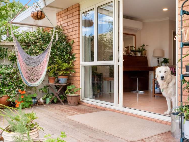 176 Carlton Street Bellevue_12