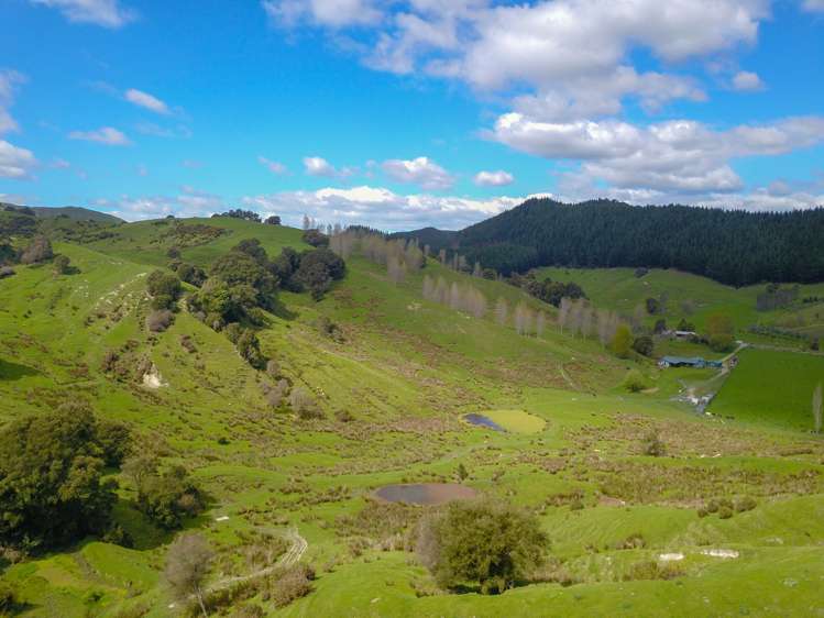 243 Ormond Valley Road Ormond_14