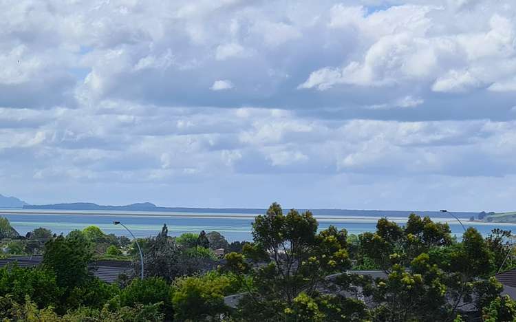 26 Te Kaka Place Omokoroa_15