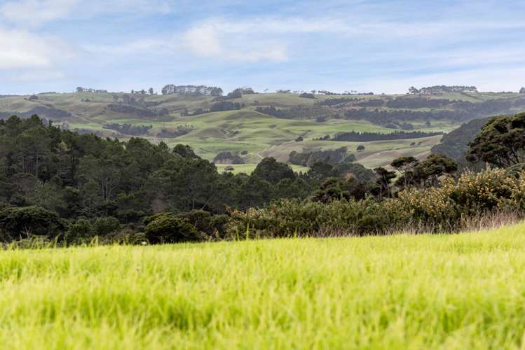 199 Mcpike Road Waimauku_20