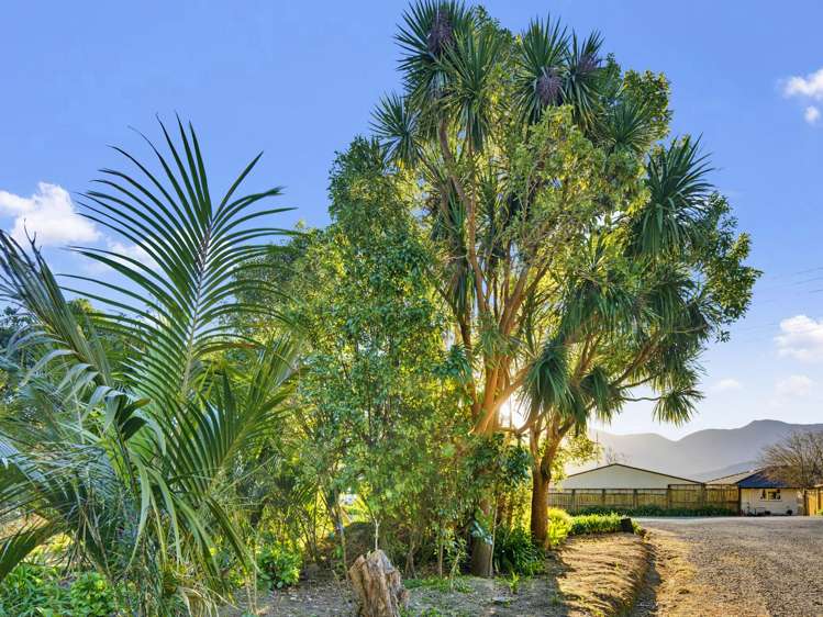 748 Kenepuru Road Marlborough Sounds_17