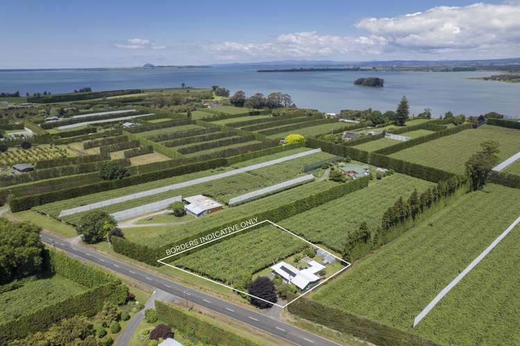 186 Beach Road Katikati_3