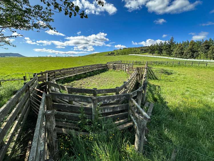 30 Frazer Road Gore Surrounds_11