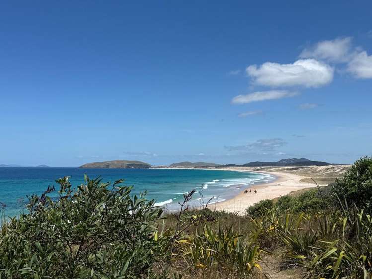 392 Henderson Bay Road Houhora_44