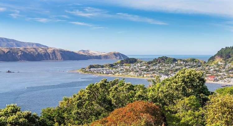 56 Nevay Road Karaka Bays_6