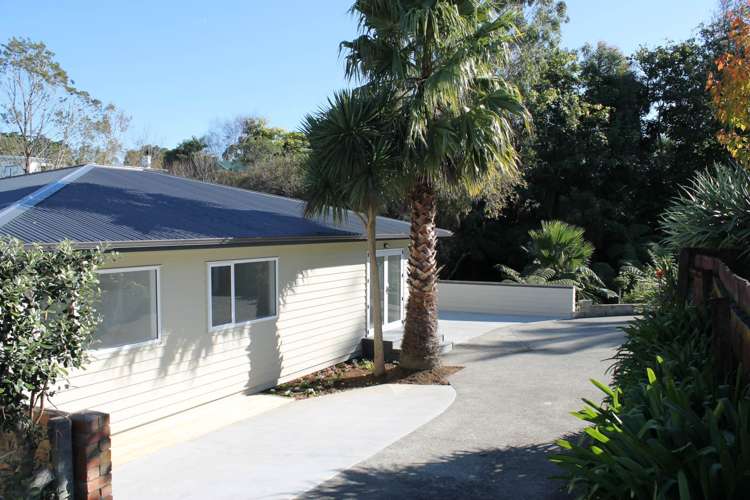 30a Halver Road Hillpark_14