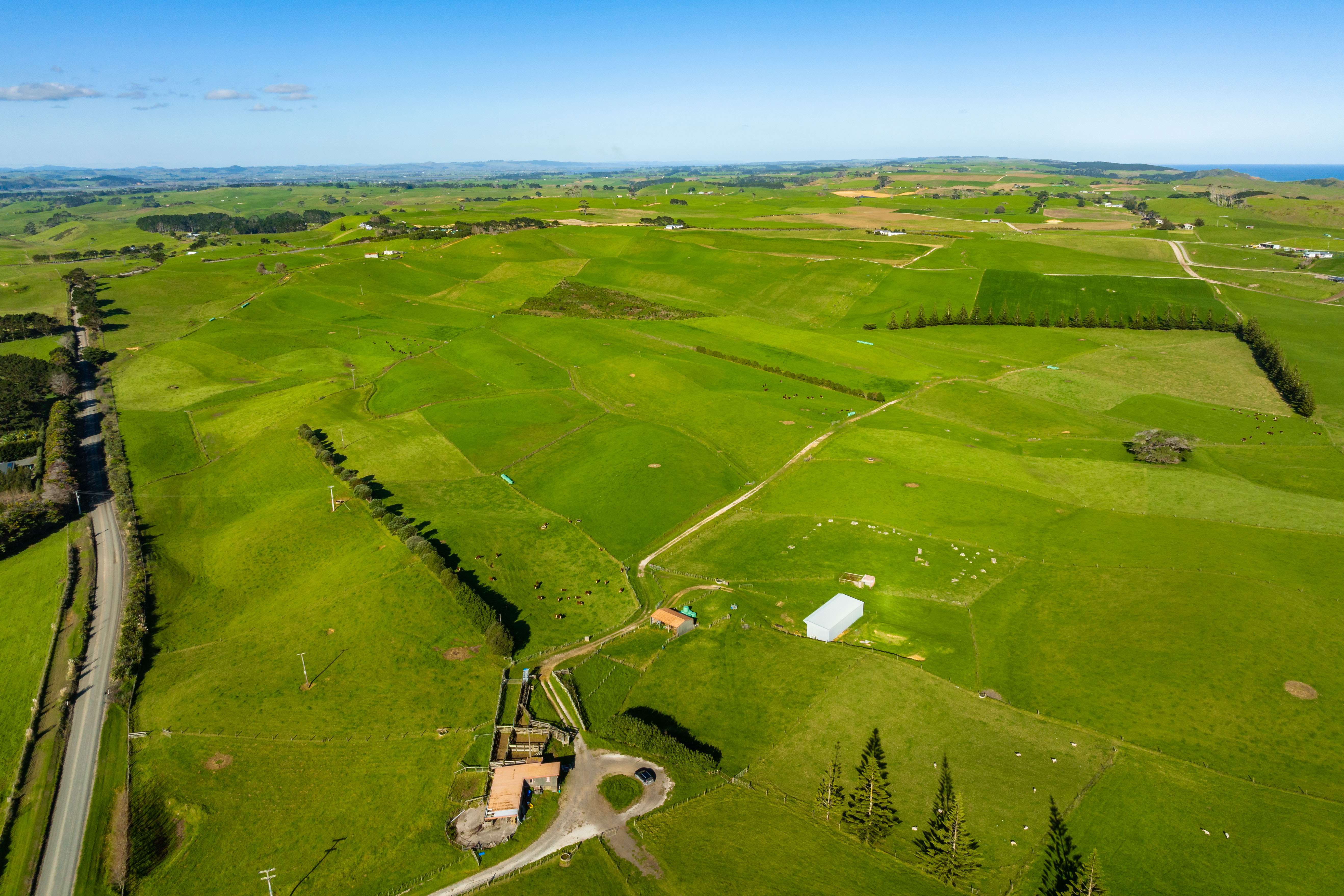 1000 Redhill Road Te Kopuru Kaipara Rural Property For Sale One