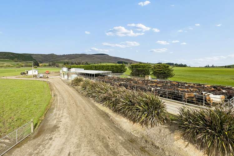 49 Phosphate Road Clarendon_15