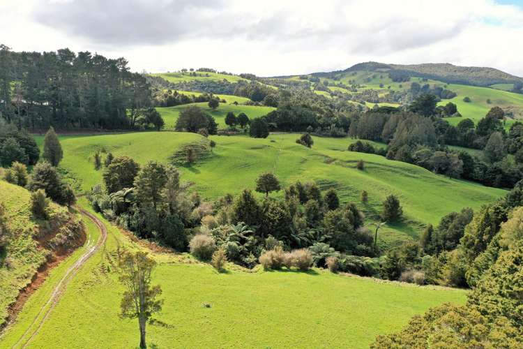 Lot 1 Katui Road Dargaville Surrounds_4