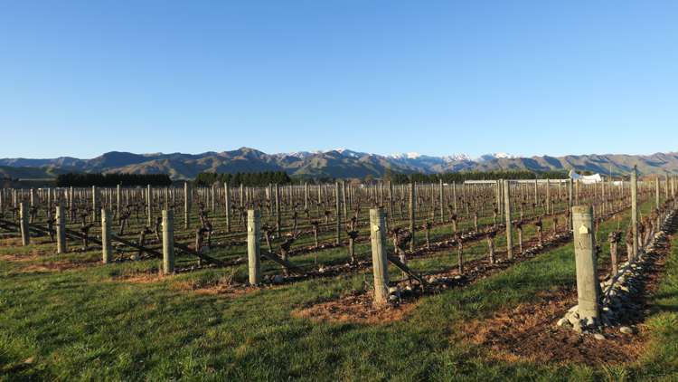 816 Waihopai Valley Road Waihopai Valley_1