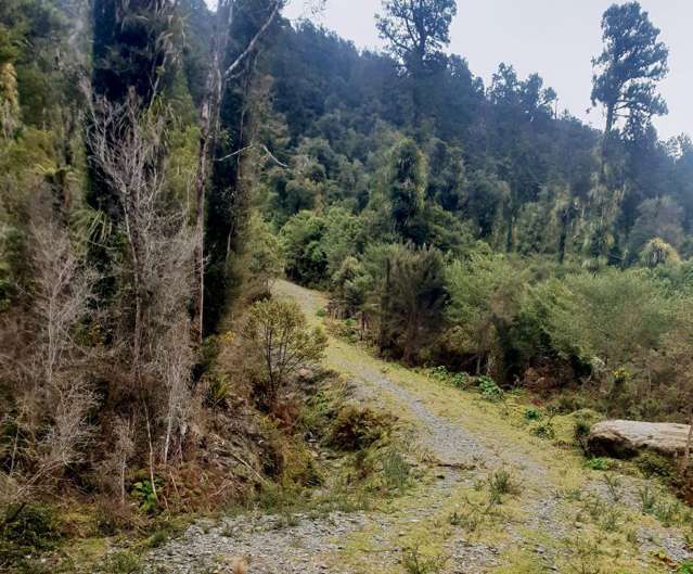 Lot 6 Paringa River Area Bruce Bay_4