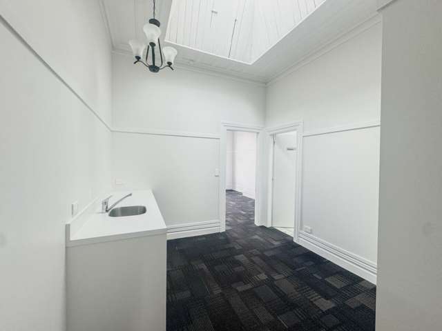 L1 | 219-225 Dominion Road Mount Eden_3