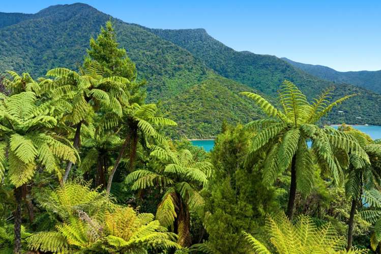 2149 North West Bay Marlborough Sounds_26