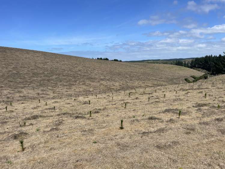 Toko Mouth Road Toko Mouth_1