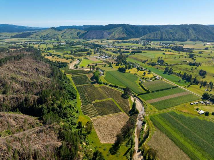 160 Tadmor Valley Road Tapawera_14