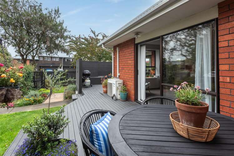 18 Lowry Avenue Redwood_8