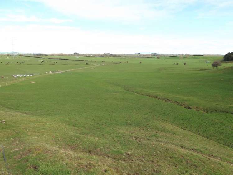 365 Tauhei Road Morrinsville_3