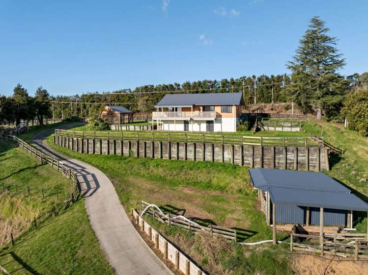 374 Youngson Road Whakamarama_30