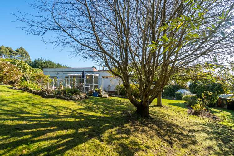 5 Blackwell Street Portobello_22