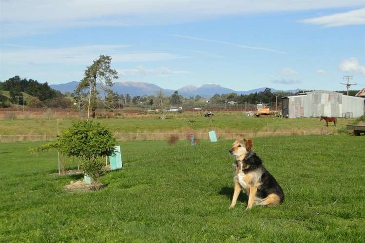 69 Best Road Upper Moutere_10