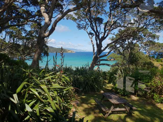 456 Shoal Bay Road Great Barrier Island (Aotea Island)_1