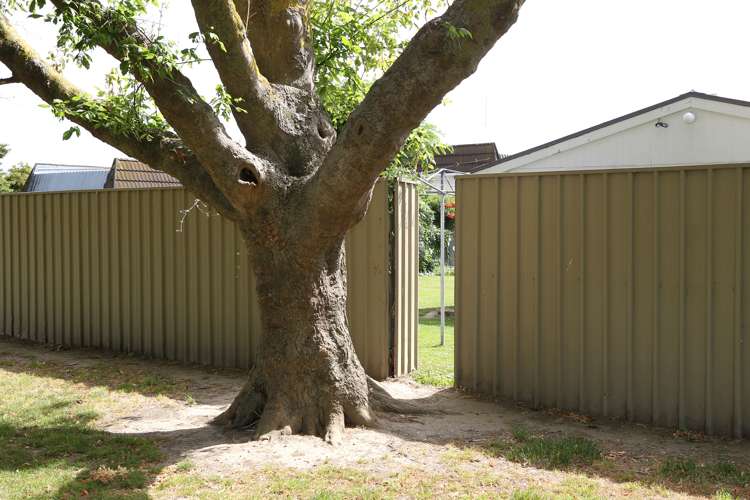 523 Fenwick Street Mayfair_17