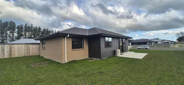 49 Hereford Street Marton_11