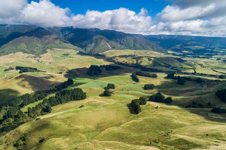 Mangleton Road Central Hawkes Bay Country_8