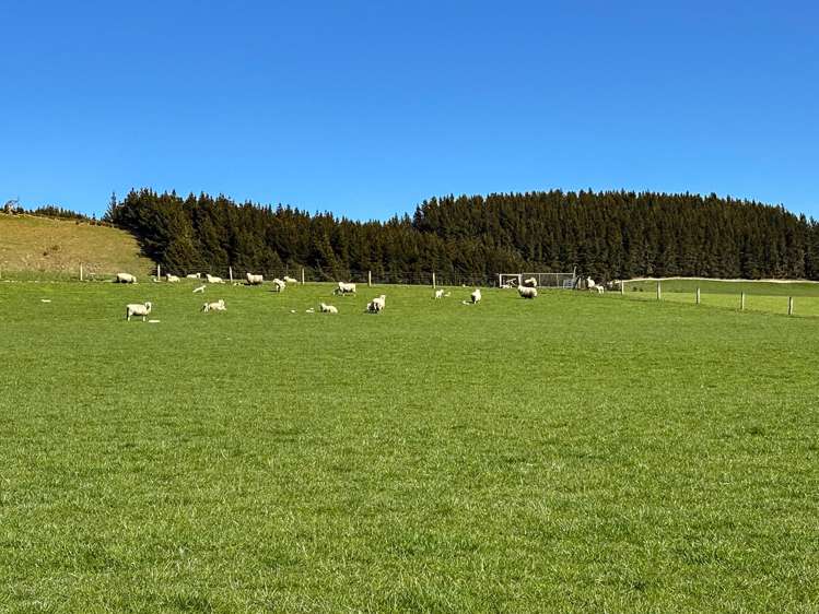 242 Caroline Valley Road Caroline_6