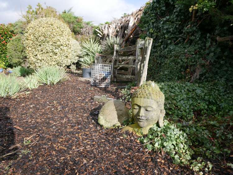 28 Oxford Street Martinborough_20