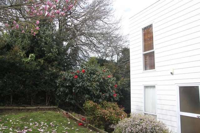 14A Wolseley street Kingsland_2