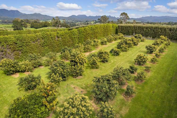 59 Pine Ridge Lane Aongatete_6