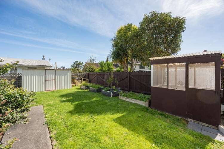 16 Langbein Street Stoke_17