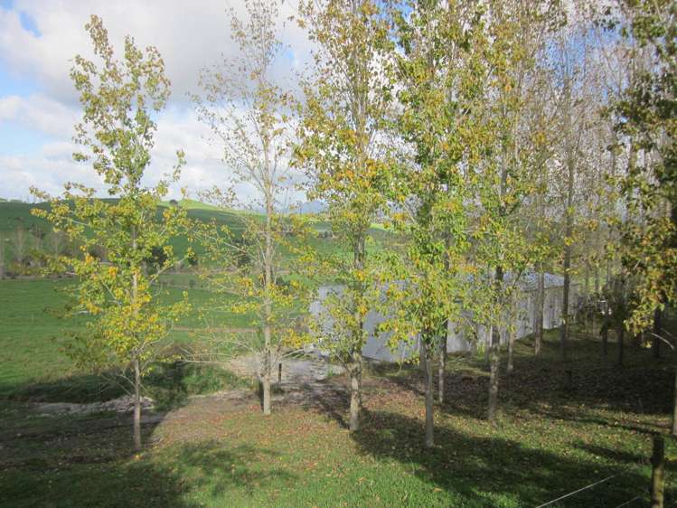 130 Carruth Road Poroti_2