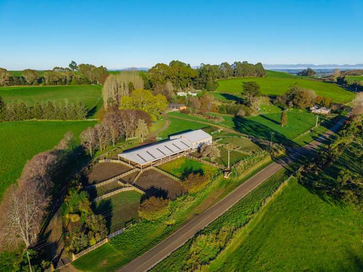 463 Dog Kennel Road Waimate_19