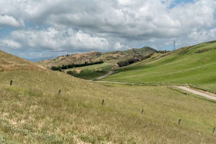 136 Mcraes Road Waikari_4