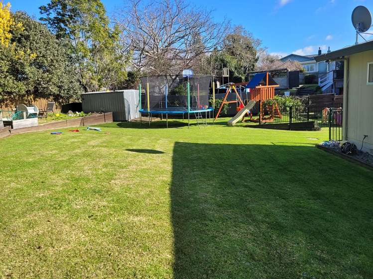 42 Lee Street Te Puke_5