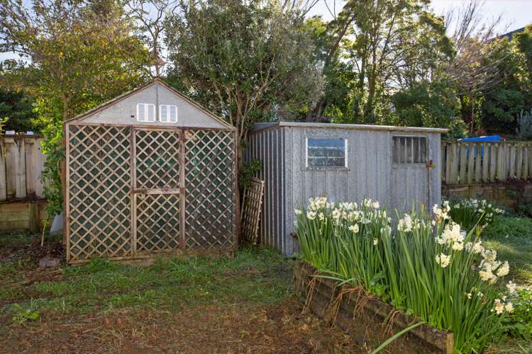 13b East Street Raglan_20