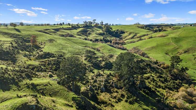 538 Puketawai Road Otorohanga_6