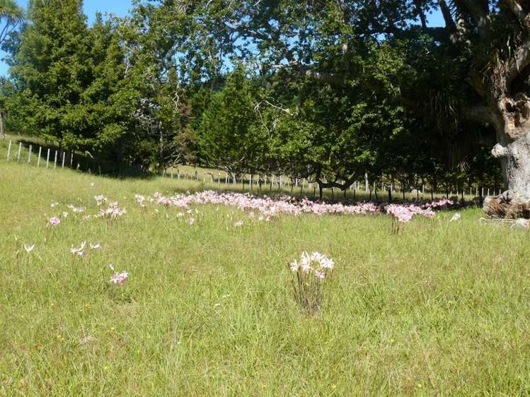 697 Kohumaru Road Mangonui_9