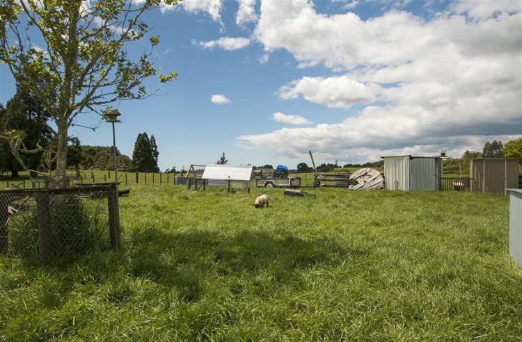 39 Leyland Road Whakamarama_4