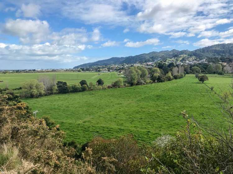 90 Maramarahi Road Thames_9